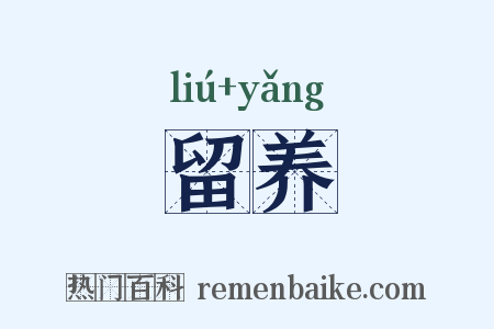 留养是什么意思的图片